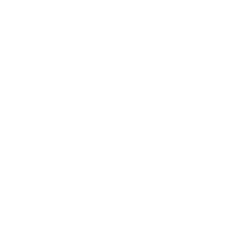 SP Agro International